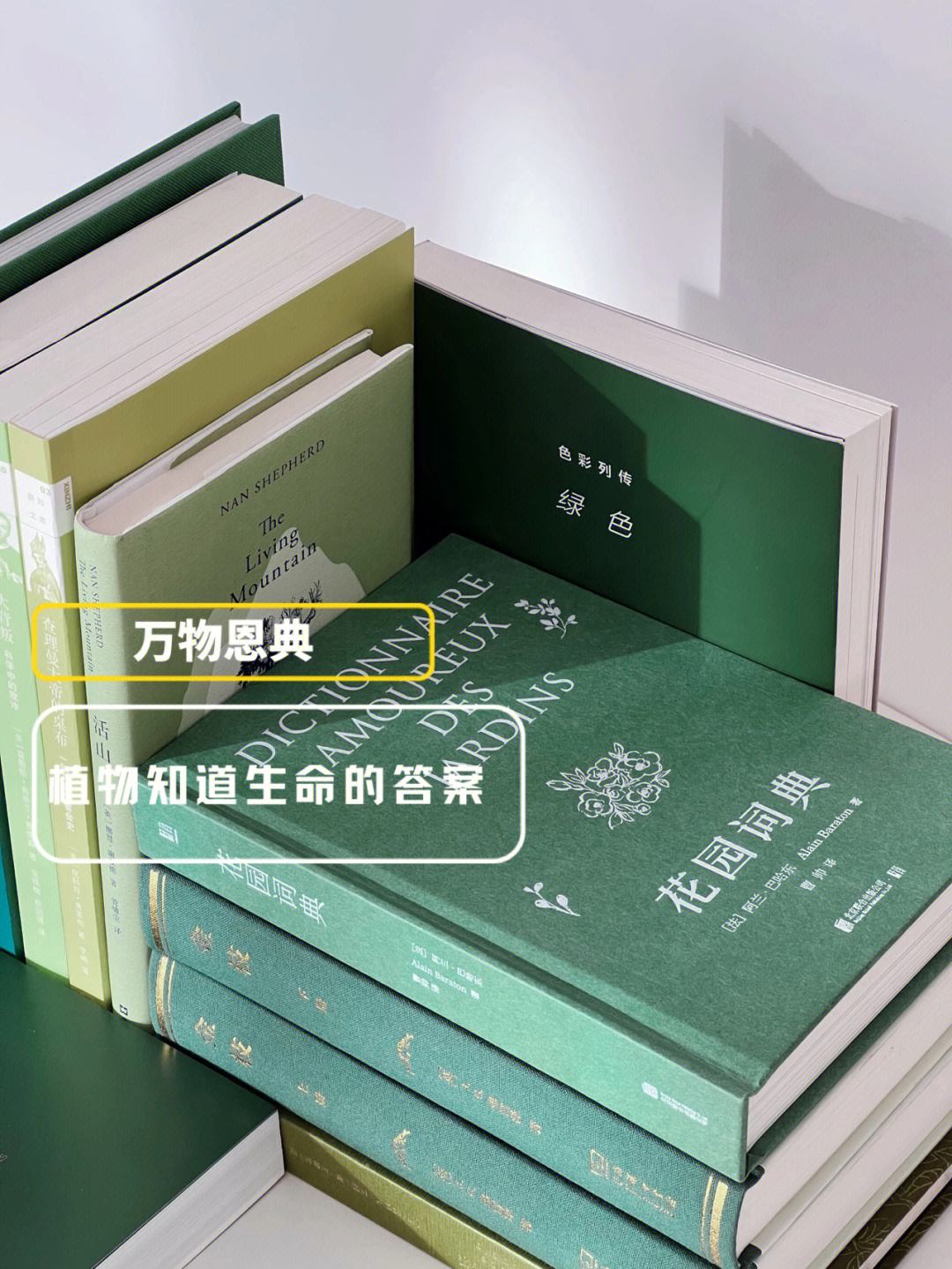 九游体育-想知道谢泼德的交易价值，一年后是否会比现在值钱